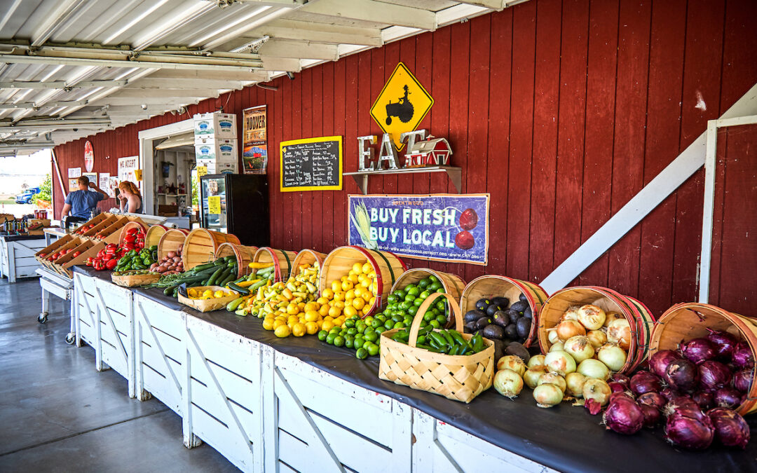 Why Small Farms Still Matter Today